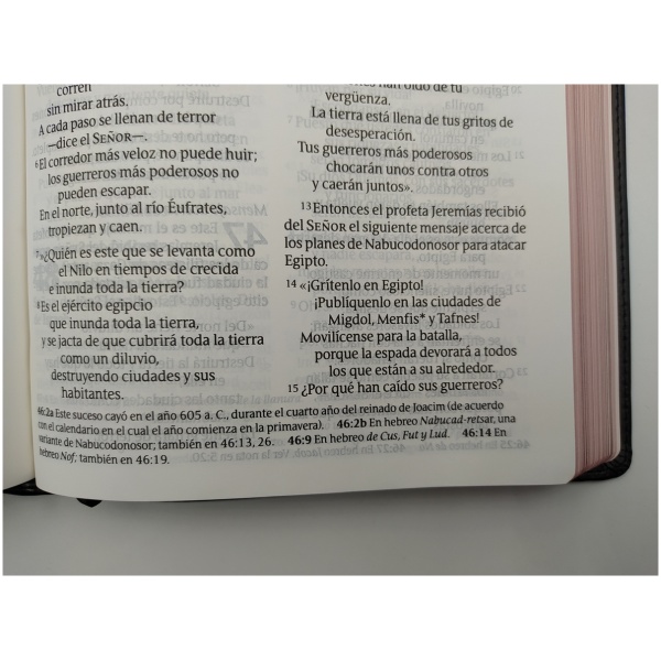 Biblia NTV Letra Grande Clásica Negro - Image 6