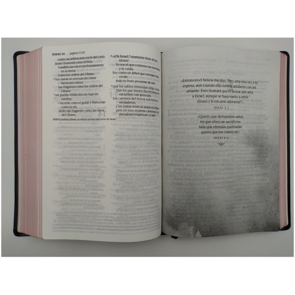 Biblia NTV Letra Grande Clásica Negro - Image 5