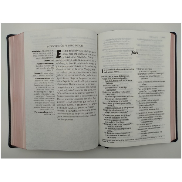 Biblia NTV Letra Grande Clásica Negro - Image 4