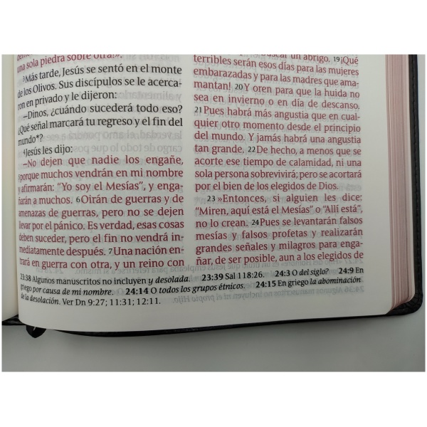 Biblia NTV Letra Grande Clásica Negro - Image 3