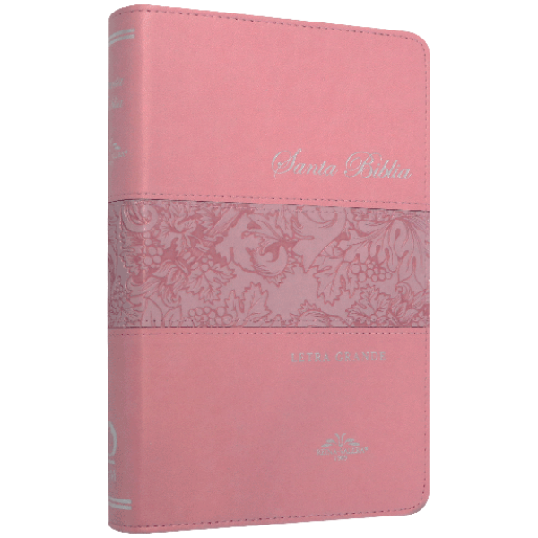 Biblia RV1909 Letra Grande Rosa 065 - Image 3