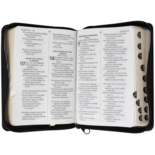 Biblia De Bolsillo Letra Gigante Rvr1960 Imitación Negro - Image 5