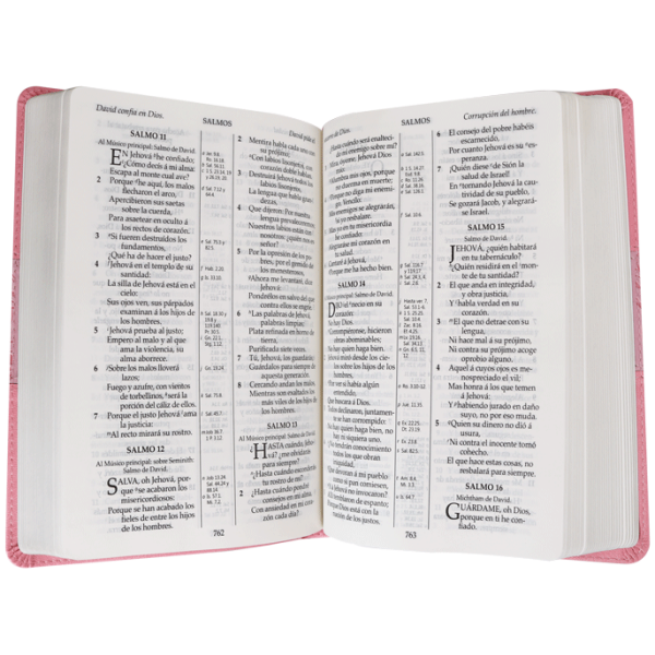 Biblia RV1909 Letra Grande Rosa 065 - Image 6