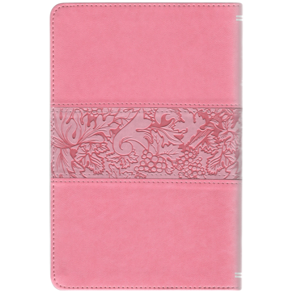 Biblia RV1909 Letra Grande Rosa 065 - Image 4