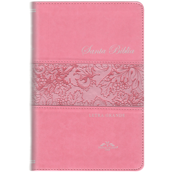 Biblia RV1909 Letra Grande Rosa 065
