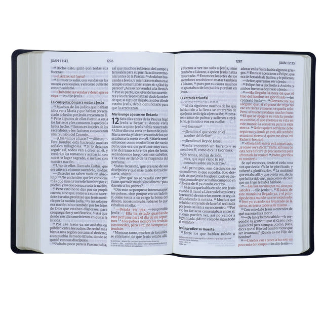 NVI Biblia Letra Gigante Negro, Piel Fabricada.