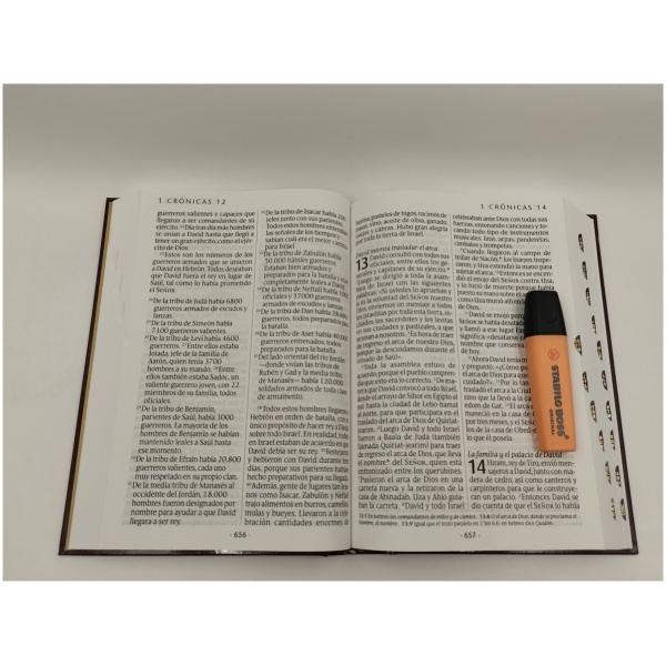 Biblia Ntv Letra Súper Gigante Tapa dura vino con índice - Image 7
