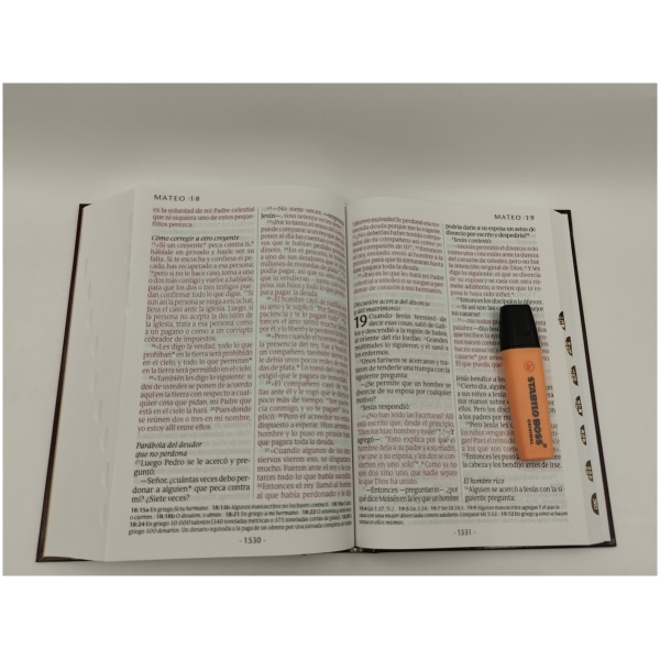 Biblia Ntv Letra Súper Gigante Tapa dura vino con índice - Image 6