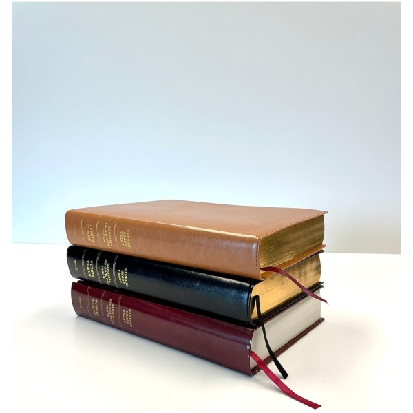 Biblia Ntv Letra Súper Gigante Tapa dura vino con índice - Image 2