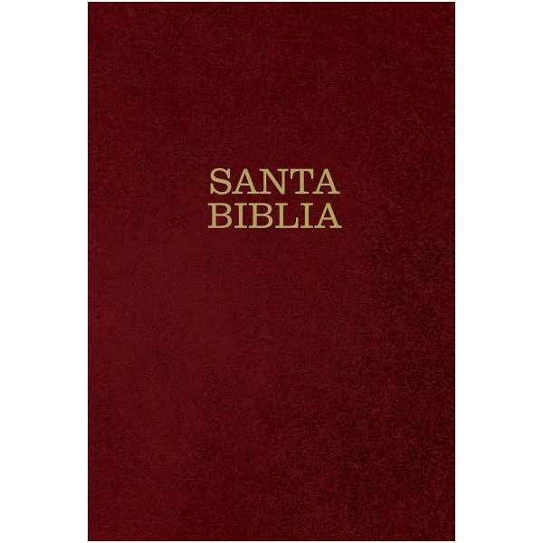 Biblia Ntv Letra Súper Gigante Tapa dura vino con índice