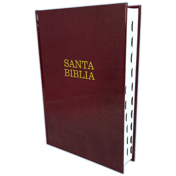 Biblia Ntv Letra Súper Gigante Tapa dura vino con índice - Image 8