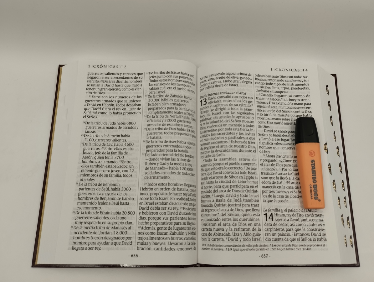 Biblia Ntv Letra Súper Gigante Tapa dura vino con índice