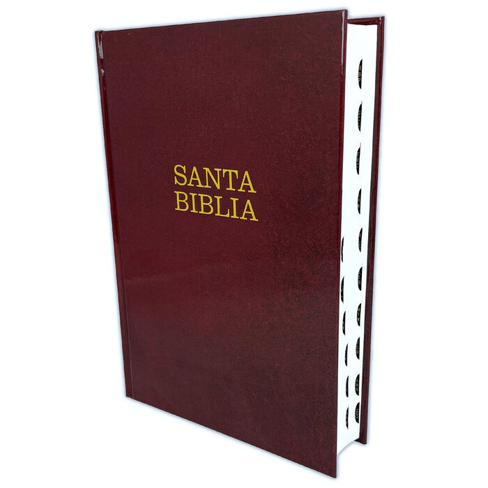 Biblia Ntv Letra Súper Gigante Tapa dura vino con índice