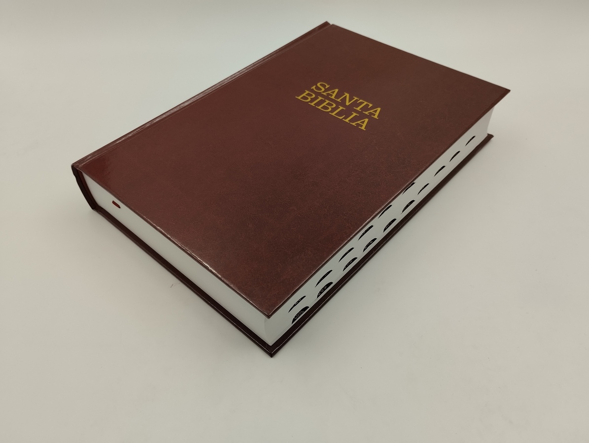 Biblia Ntv Letra Súper Gigante Tapa dura vino con índice