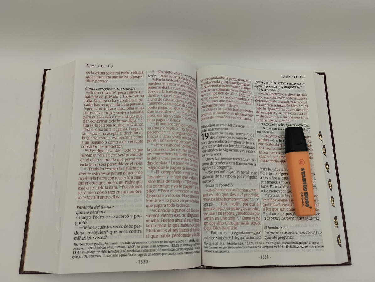 Biblia Ntv Letra Súper Gigante Tapa dura vino con índice