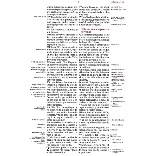 Biblia RVR De Referencia Thompson Café, ampliada y actualizada - Image 7