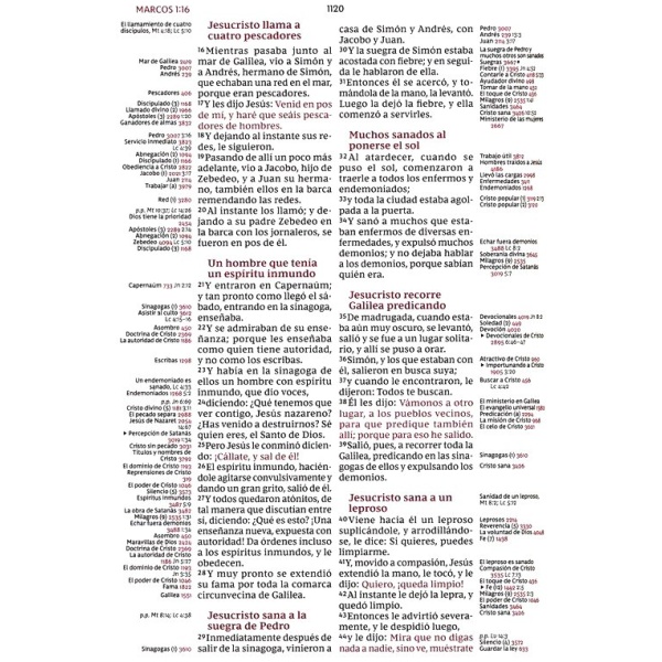 Biblia RVR De Referencia Thompson Café, ampliada y actualizada - Image 5