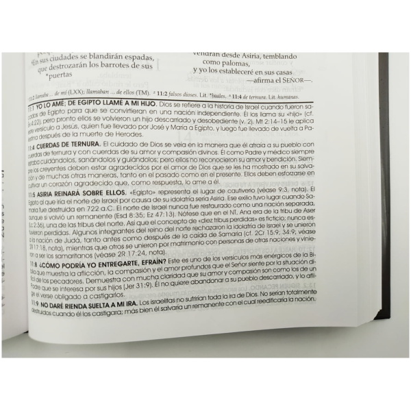 Nvi Biblia De Estudio Vida Plena, Tapa Dura - Image 4