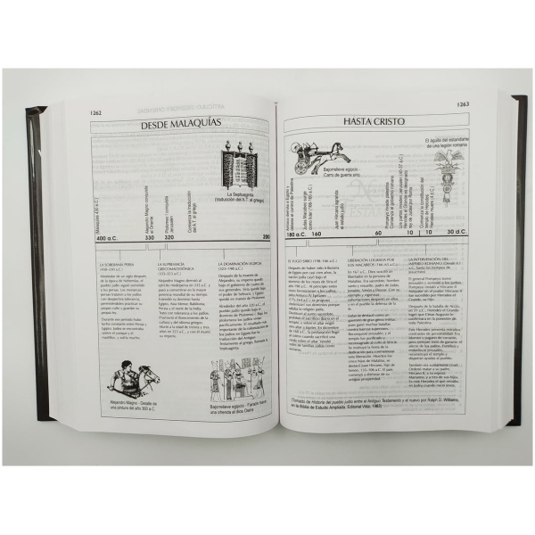 Nvi Biblia De Estudio Vida Plena, Tapa Dura - Image 2
