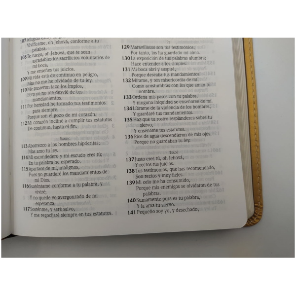 Biblia Ed Especial Referencias Rvr1960 Oro/marrón, Imit Piel - Image 4