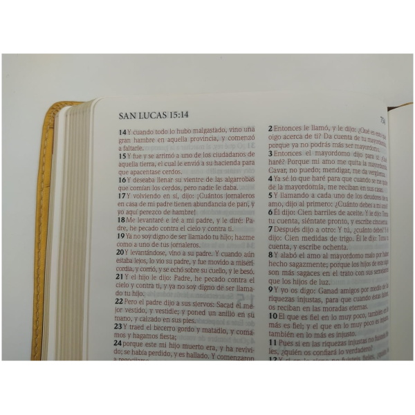 Biblia Ed Especial Referencias Rvr1960 Oro/marrón, Imit Piel - Image 3