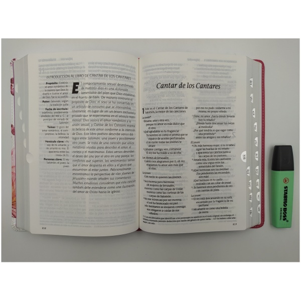 Santa Biblia NTV Personal Letra Grande Rosa PJR - Image 5