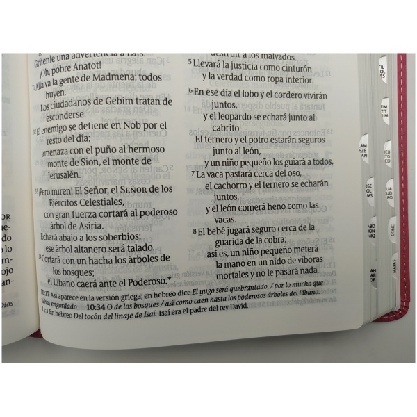 Santa Biblia NTV Personal Letra Grande Rosa PJR - Image 4