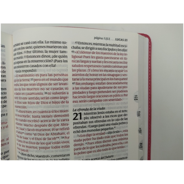 Santa Biblia NTV Personal Letra Grande Rosa PJR - Image 3