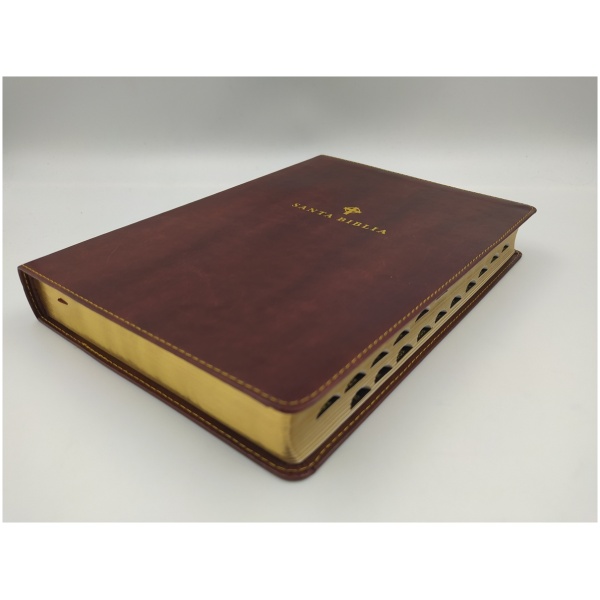 Biblia NTV, Edición de Referencia Ultrafina, Letra Grande - Image 7