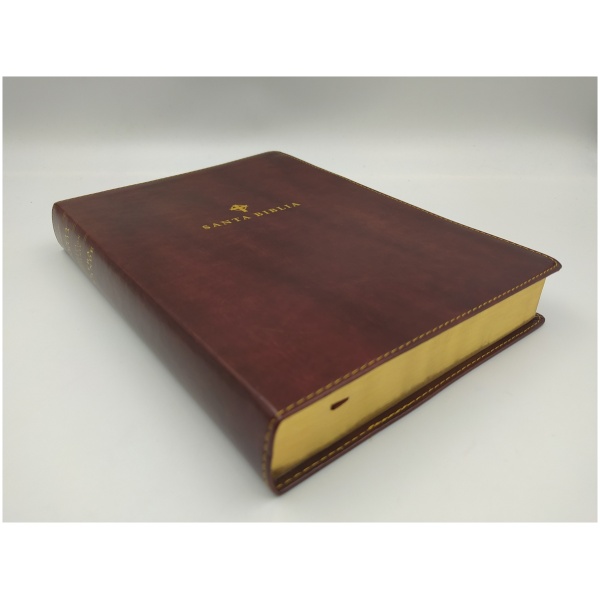 Biblia NTV, Edición de Referencia Ultrafina, Letra Grande - Image 6