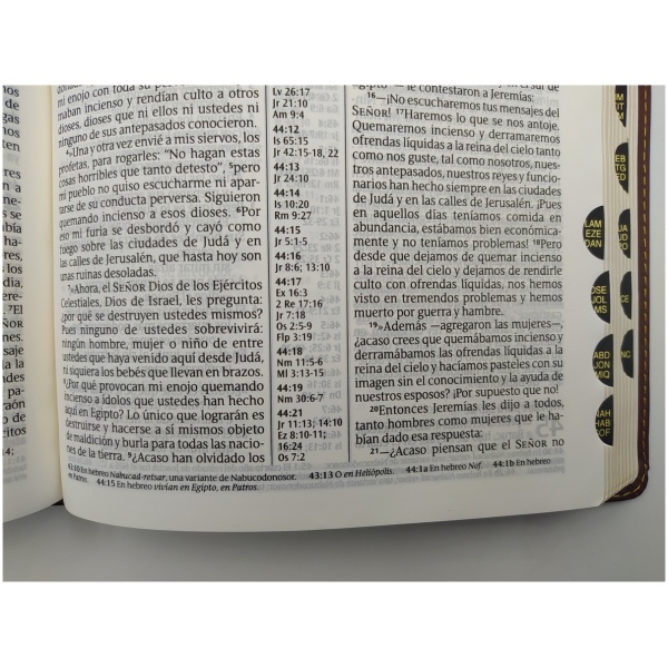 Biblia NTV, Edición de Referencia Ultrafina, Letra Grande - Image 5