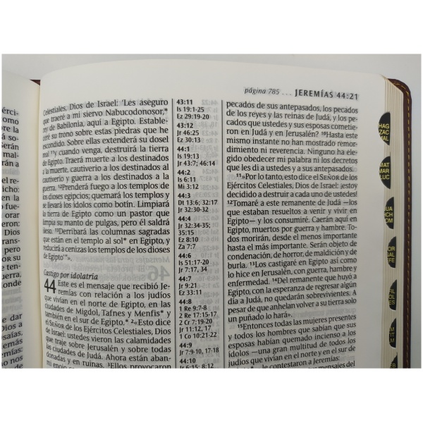 Biblia NTV, Edición de Referencia Ultrafina, Letra Grande - Image 4