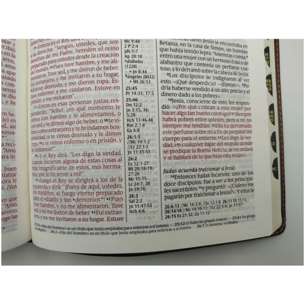 Biblia NTV, Edición de Referencia Ultrafina, Letra Grande - Image 3