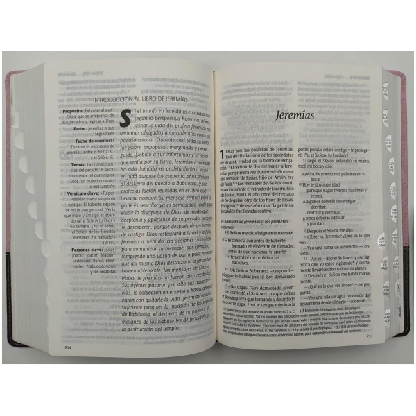 Biblia Ntv Edicion Personal Letra Grande rosa café 10pt - Image 6
