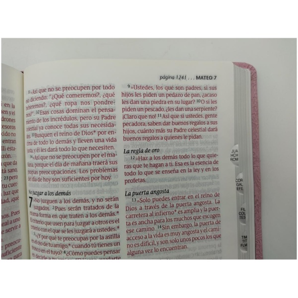 Biblia Ntv Edicion Personal Letra Grande rosa café 10pt - Image 4