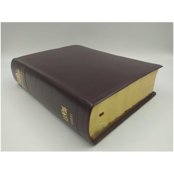 Biblia De Estudio Mundo Hispano (tapa Piel Europea) - Image 4