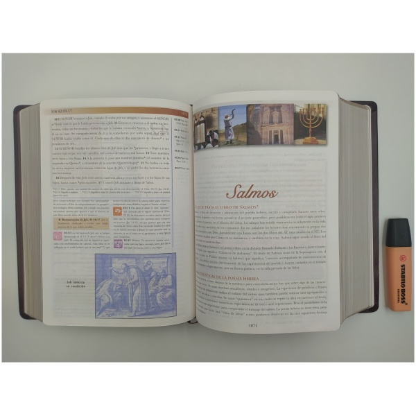 Biblia De Estudio Mundo Hispano (tapa Piel Europea) - Image 3