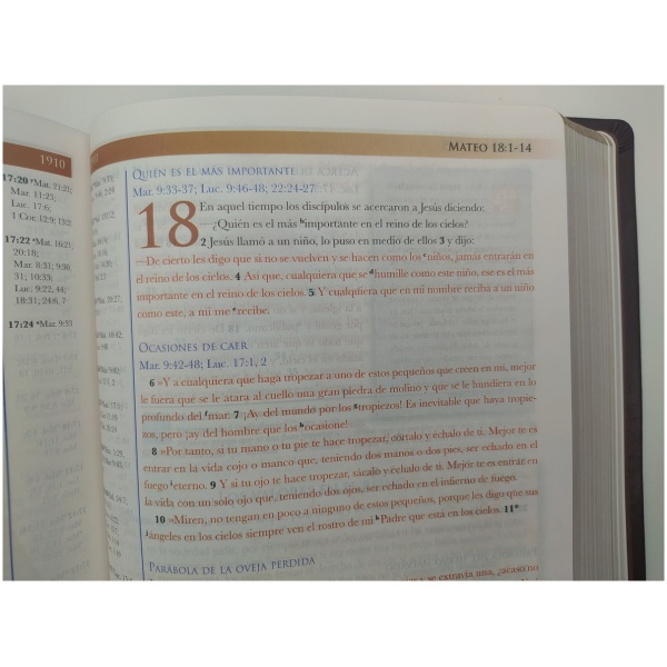 Biblia De Estudio Mundo Hispano (tapa Piel Europea) - Image 2