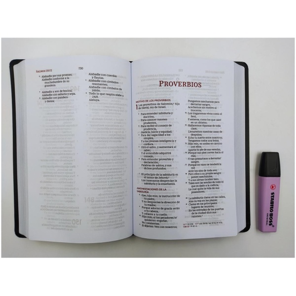 Biblia RV1960 Ultrafina Letra Grande Negro dos colores - Image 5