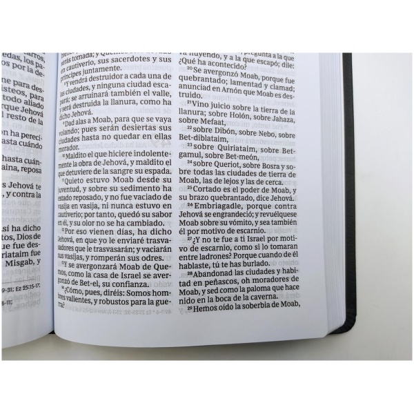 Biblia RV1960 Ultrafina Letra Grande Negro dos colores - Image 4