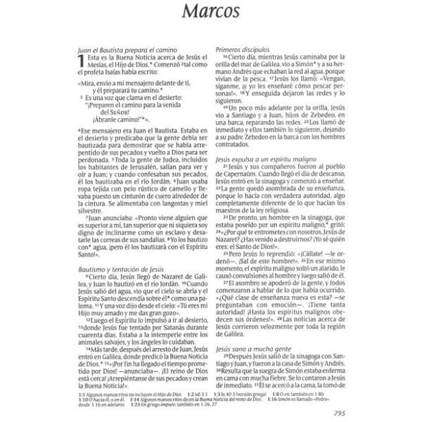 Biblia NTV cosecha diseño corona - Image 2