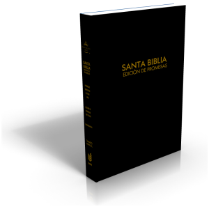 Biblia RVR1960 de Promesas Letra Grande Manual 12pt