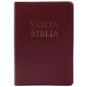 Biblia Holman Vinil Vino RV1960