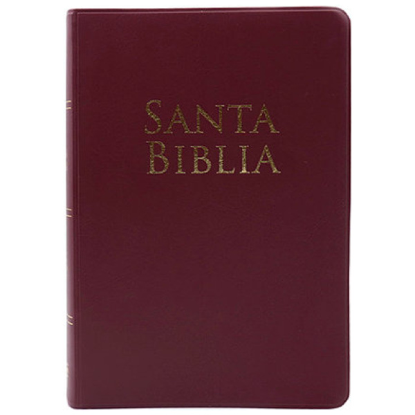 Biblia Holman Vinil Vino RV1960