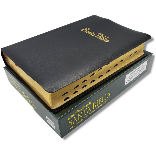Biblia RV1909/1979 El maravilloso plan de Dios negro 8pt