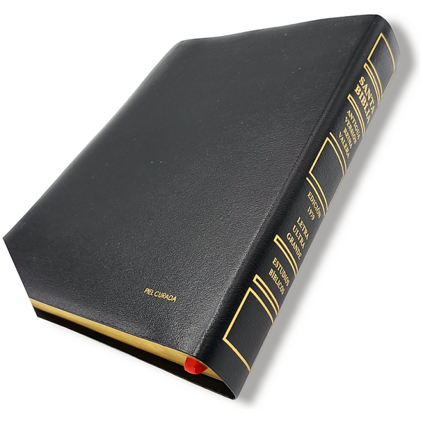 Biblia RV1909/1979 El maravilloso plan de Dios negro 8pt - Image 8