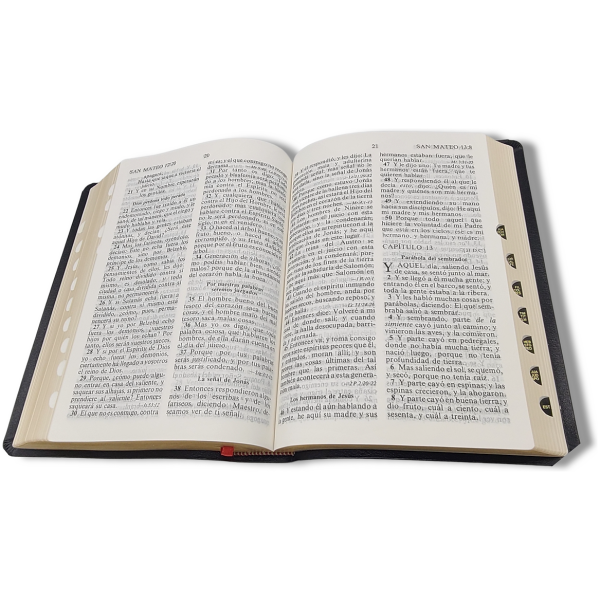 Biblia RV1909/1979 El maravilloso plan de Dios negro 8pt - Image 3