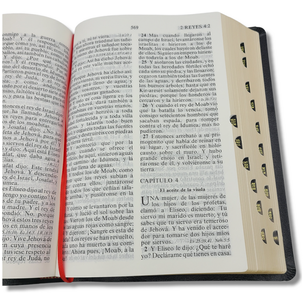 Biblia RV1909/1979 El maravilloso plan de Dios negro 8pt - Image 5