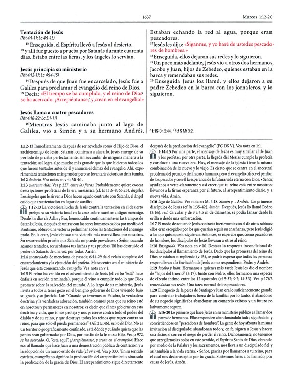 La Biblia de la Reforma, piel marrón RVC - Image 2