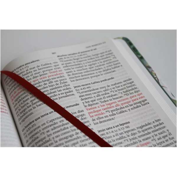 Biblia RVR1960 Lt Grande Manual Tapa Dura Verde 10.5pt - Image 9